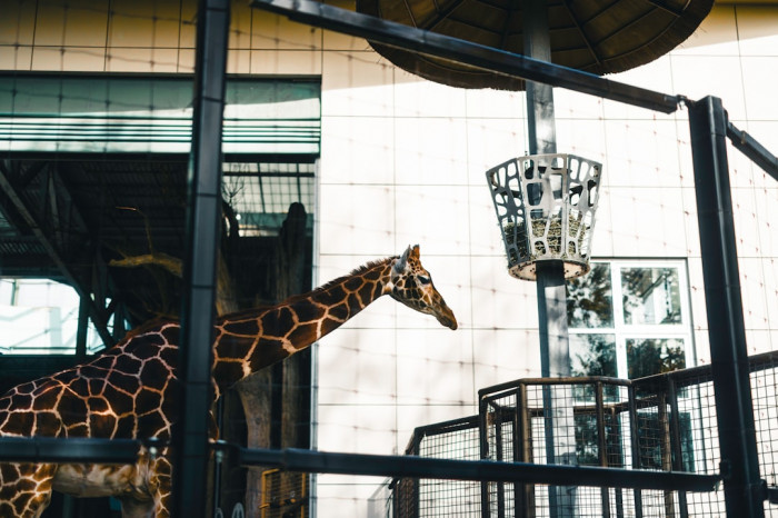 6. Sınıf İngilizce Ders Notları